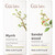 Gya Labs Myrrh Oil For Skin and Sandalwood Essential Oils For Diffuser Set Aromatherapy Grade Essential Oils Set 2X0.34 Fl Oz Gya Labs