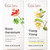 Gya Labs Rose Geranium Oil For Skin and Ylang Essential Oil For Skin Set Aromatherapy Grade Essential Oils Set 2X0.34 Fl Oz Gya Labs Gya Labs Rose Geranium Oil For Skin and Ylang Essential Oil For Skin Set Aromatherapy Grade Essential Oils Set 2X0.34 Fl Oz Gya Labs