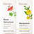 Gya Labs Rose Geranium Essential Oil For Skin and Bergamot Oil For Diffuser Set Aromatherapy Grade Essential Oils Set 2X0.34 Fl Oz Gya Labs
