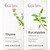Gya Labs Thyme Oil For Hair and Eucalyptus Essential Oil For Diffuser Set Essential Oils Set 2X10Ml Gya Labs Gya Labs Thyme Oil For Hair and Eucalyptus Essential Oil For Diffuser Set Essential Oils Set 2X10Ml Gya Labs