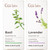 Gya Labs Basil and Lavender Essential Oil For Diffuser Set Aromatherapy Grade Essential Oils Set 2X0.34 Fl Oz Gya Labs Gya Labs Basil and Lavender Essential Oil For Diffuser Set Aromatherapy Grade Essential Oils Set 2X0.34 Fl Oz Gya Labs