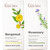 Gya Labs Bergamot and Rosemary Essential Oil Set Aromatherapy Grade Essential Oils Set 2X0.34 Fl Oz Gya Labs