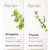 Gya Labs Oregano Oil For Skin and Thyme Essential Oil For Hair Set Aromatherapy Grade Essential Oils Set 2X0.34 Fl Oz Gya Labs