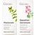 Gya Labs Marjoram Oil Essential Oil Diffuser and Egyptian Geranium Essential Oil Set Aromatherapy Grade Essential Oils Set 2X0.34 Fl Oz Gya Labs Gya Labs Marjoram Oil Essential Oil Diffuser and Egyptian Geranium Essential Oil Set Aromatherapy Grade Essential Oils Set 2X0.34 Fl Oz Gya Labs