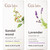 Gya Labs Sandalwood Essential Oils For Diffuser and Lavender Essential Oil For Diffuser Set Aromatherapy Grade Essential Oils Set 2X0.34 Fl Oz Gya Labs