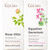 Gya Labs Rose Essential Oils For Skin Use and Geranium Oil For Skin Set Aromatherapy Grade Essential Oils Set 2X0.34 Fl Oz Gya Labs Gya Labs Rose Essential Oils For Skin Use and Geranium Oil For Skin Set Aromatherapy Grade Essential Oils Set 2X0.34 Fl Oz Gya Labs