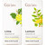 Gya Labs Lime Essential Oil For Diffuser And Candle and Lemon Essential Oil For Diffuser Set Aromatherapy Grade Essential Oils Set 2X10Ml Gya Labs Gya Labs Lime Essential Oil For Diffuser And Candle and Lemon Essential Oil For Diffuser Set Aromatherapy Grade Essential Oils Set 2X10Ml Gya Labs