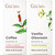Gya Labs Coffee and Vanilla Essential Oil Set Aromatherapy Grade Essential Oils Set 2X10Ml Gya Labs Gya Labs Coffee and Vanilla Essential Oil Set Aromatherapy Grade Essential Oils Set 2X10Ml Gya Labs