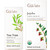 Gya Labs Tea Tree Oil For Skin and Jojoba Oil For Hair Set Aromatherapy Grade Essential Oils Set Gya Labs 30Ml 100Ml Gya Labs Tea Tree Oil For Skin and Jojoba Oil For Hair Set Aromatherapy Grade Essential Oils Set Gya Labs 30Ml 100Ml