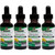 Nature'S Answer Astragalus Root 1 Ounces Each Value Pack Of 4 Nature'S Answer Astragalus Root 1 Ounces Each Value Pack Of 4