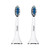 Whites Beaconsfield Replacement Toothbrush Heads - 2 Pack, Compatible with Whites Sonic LED Electric Toothbrush (Previous Design Toothbrush), Precision Clean, Easy to Replace, Long-Lasting Performance Whites Beaconsfield Replacement Toothbrush Heads - 2 Pack, Compatible with Whites Sonic LED Electric Toothbrush (Previous Design Toothbrush), Precision Clean, Easy to Replace, Long-Lasting Performance