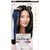 Clairol Nice N Easy Root Touch-Up Black, Black 1 each Clairol Nice N Easy Root Touch-Up Black, Black 1 each