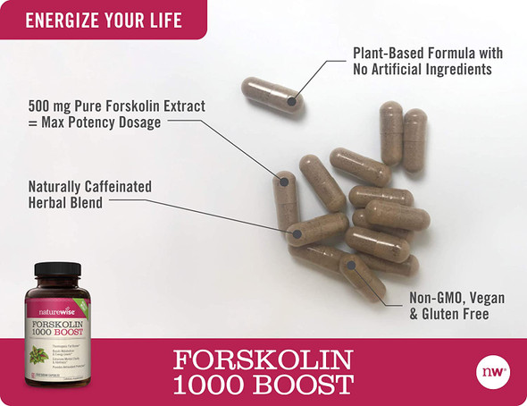 NatureWise Premium Forskolin 1000 Boost Highest Concentration Pure Forskolin for Weight Maintenance  Natural Thermogenic Blend with Green Tea Yerba Mate Guarana Coleus Forskohlii 1 Month Supply