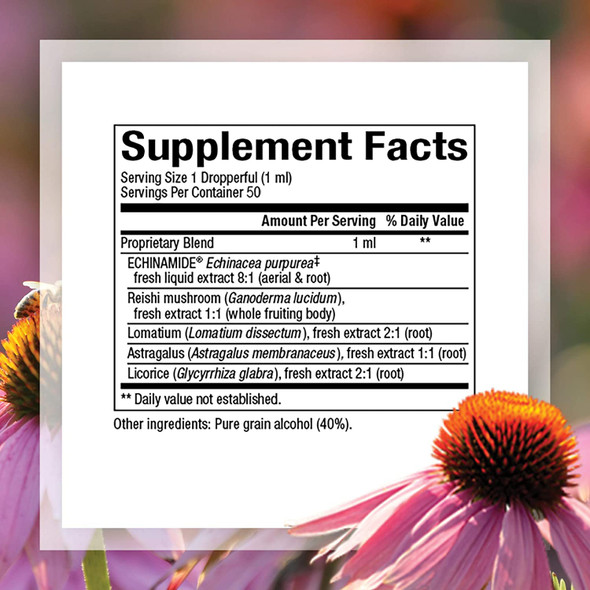 Natural Factors AntiV Liquid Formula Echinacea Supplement for Immune and Wellness Support Organic NonGMO 1.7 oz 50 servings