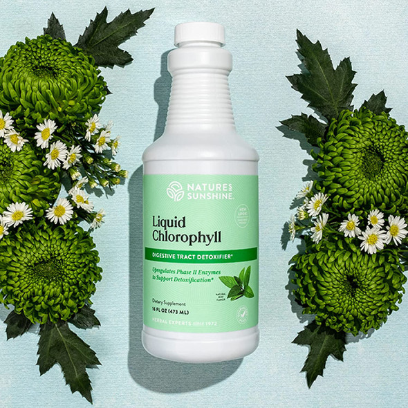 Natures Sunshine Chlorophyll Liquid 16 fl. oz Kosher Fresh Mint Chlorophyllin Assists Detoxification and Provides Intestinal Immune and Digestive System Support