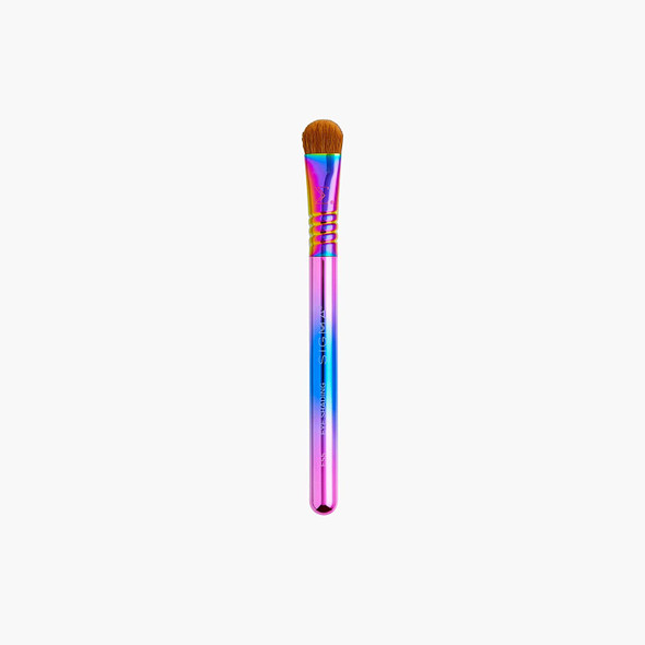 Color Me Proud Mini Brush Set LGBTQ Community Pride Month Rainbow Color Travel Friendly Eye Brush Set It Gets Better Project Collab