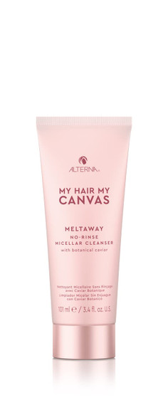 Alterna My Hair My Canvas Meltaway NoRinse Micellar Cleanser 3.4 Fl Oz  Vegan  Fast Drying CremetoPowder Cleanser Absorbs Oil  Sweat for Shower Clean Hair  Peta Tested 3.4 fl. oz.