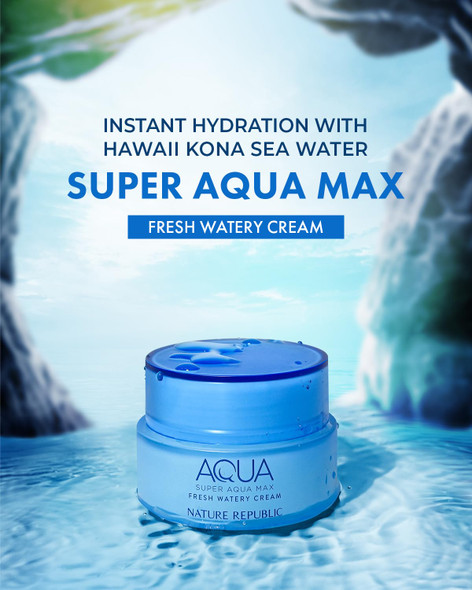 Nature Republic Super Aqua Max Fresh Watery Cream 80Ml