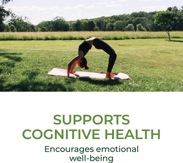 MegaFood, Adult B-Centered, Supports Cognition and Mental Focus, Multivitamin B Complex Supplement with Herbs, Vegan, 60 Tablets MegaFood, Adult B-Centered, Supports Cognition and Mental Focus, Multivitamin B Complex Supplement with Herbs, Vegan, 60 Tablets