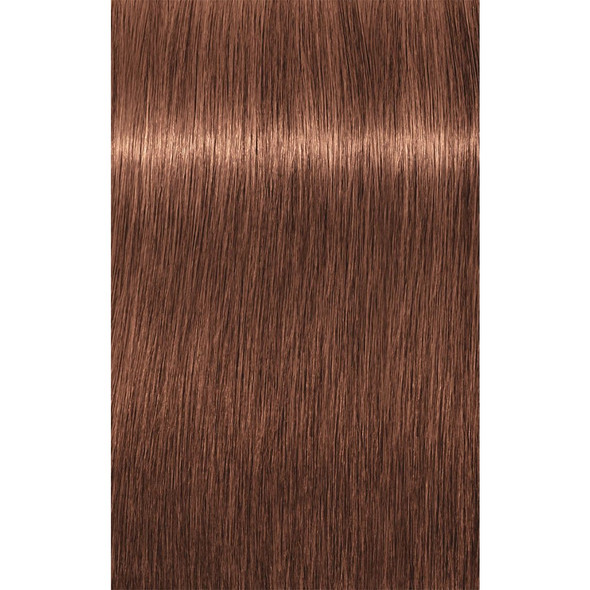 Indola Permanent Caring Color 7.38+ | Medium Brown Gold Chocolate Intense - 60 Ml