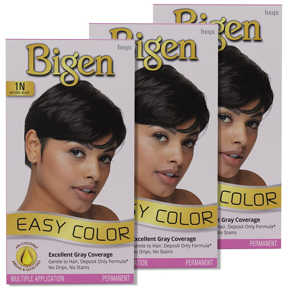 1N Bigen Easy Color for Women Natural Black-New Formula, New Look - 3 Pack