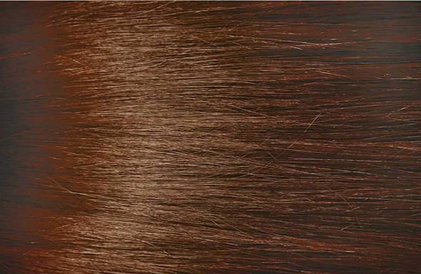 WB3 Medium Warm Brown Bigen Semi Permanent Hair Color (3 Pack)