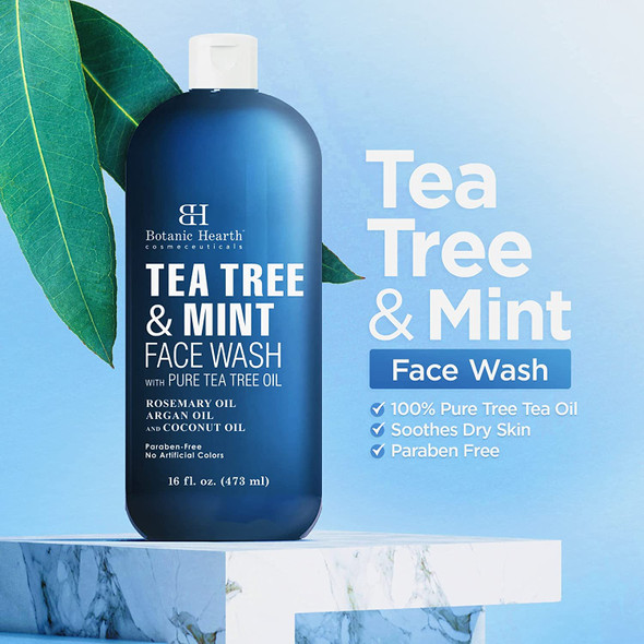 Botanic Hearth Tea Tree Face Wash with Mint - Acne Fighting, Therapeutic, Hydrating Liquid Face Soap with Pure Tea Tree Oil - for Women and Men, Paraben Free, Fights Acne - 16 fl oz