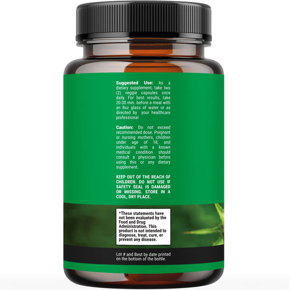 Milk Thistle Liver Support Supplement - Herbal Liver Supplement with Silymarin Milk Thistle Extract Dandelion Root Artichoke Extract Choline Bitartrate Berberine and Chicory Root for Liver Cleanse