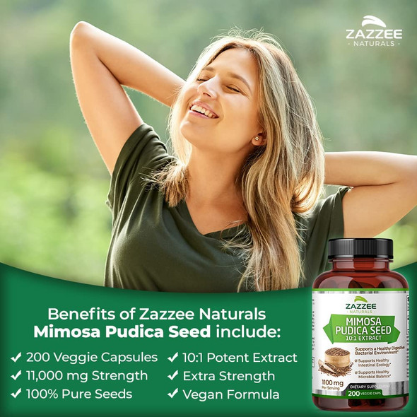 Zazzee Mimosa Pudica Seed 10:1 Extract, 200 Vegan Capsules, 1100 mg, 3+ Month Supply, Potent 10:1 Extract, Non-GMO and All-Natural