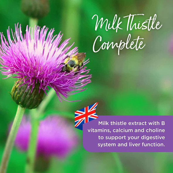 Healthspan Milk Thistle Complete | 120 Tablets | 50mg Milk Thistle Extract | B Vitamins | Calcium | Choline |
