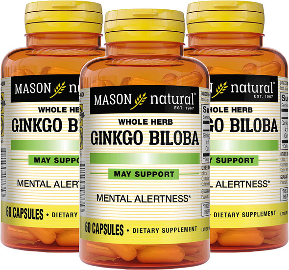 Mason Natural Ginkgo Biloba - Improve Mental Alertness, Supports Optimal Brain Function, Herbal Supplement, 60 Capsules (Pack of 3)