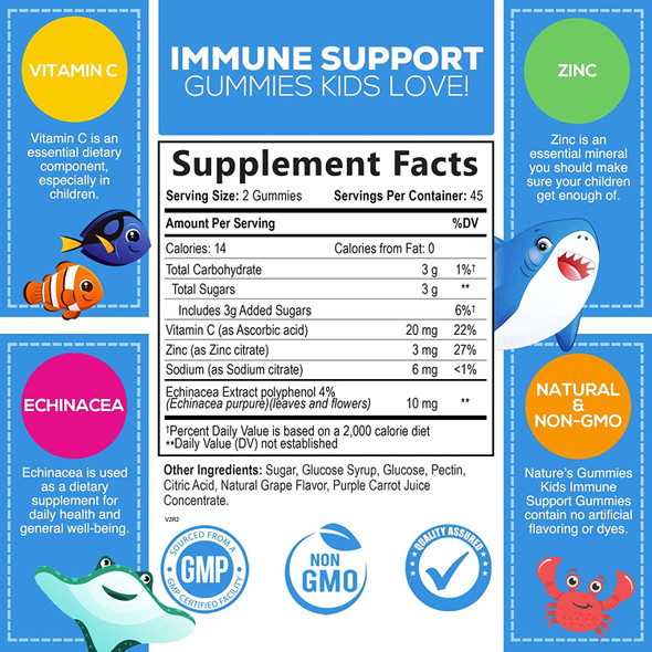 Kids Immune Support Gummy - with Vitamin C, Zinc & Echinacea - Tasty Fruit Flavored Vitamins, Non-GMO, Vegan, Natural Chewable Supplement for Children by Nature's Gummies - 60 Gummies