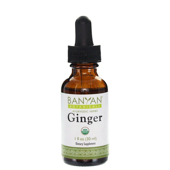 Ginger Liquid Extract 1 fl oz - 3 Pack