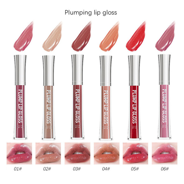 Plumping Lip Gloss, Shiny Shades Lip Plumper Oil, 6 Colors