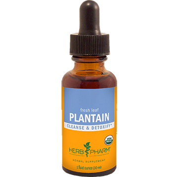 Plantain 1 oz - 3 Pack