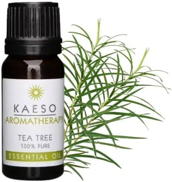 Kaeso Aromatherapy Essential Oil, Tea Tree 10 ml