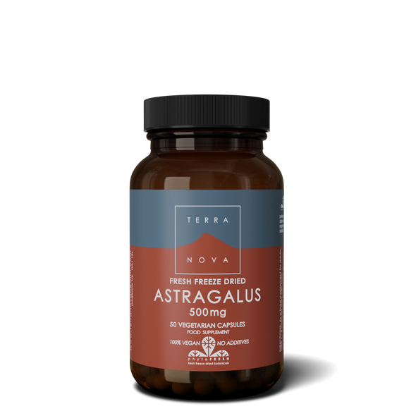 Terranova Astragalus 500mg