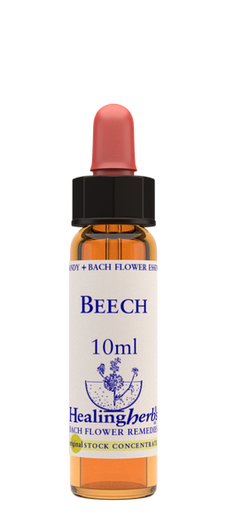 Healing Herbs Ltd Beech