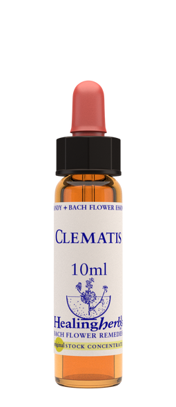 Healing Herbs Ltd Clematis