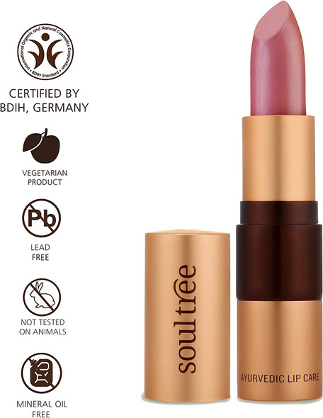 SOULTREE Organic Lipstick with Ayurveda Ingredients (4.5g, Nude Pink) 100% Natural Lipstick For Everyday Use - Sweet Almond & Wild Honey Ayurvedic Lip Stick