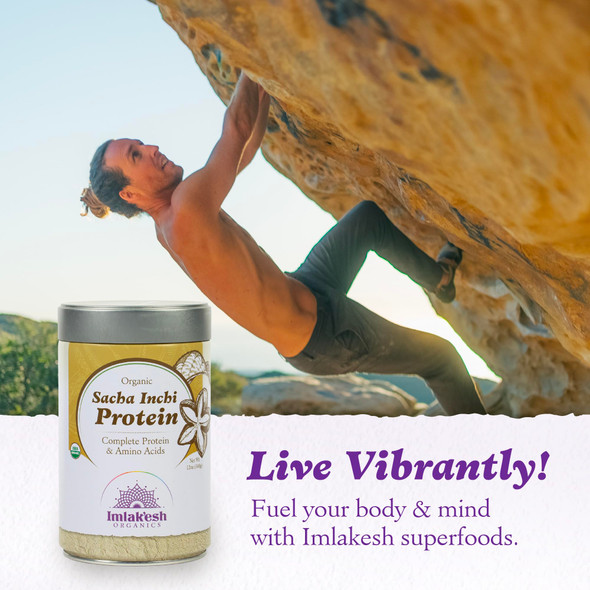 Protein Powder Sacha Inchi 14 Oz By Imlakesh Organics
