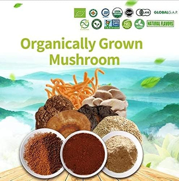 7 Mix Mushroom Extract Powder 100g Certified Organic Ganoderma Reishi, Chaga, Cordyceps, Lion's Mane, Morel, Maitake, Shiitake Mushroom