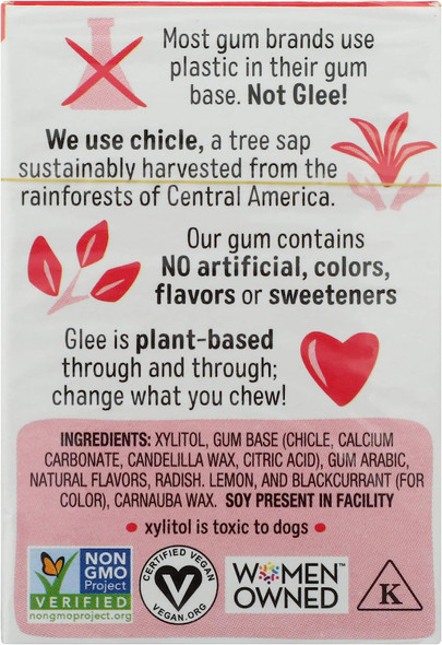 GLEEgum Gum Watermelon, 12 Count