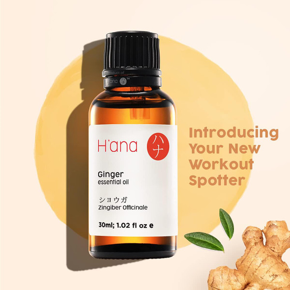 Hana Ginger Essential Oil - Relieves Muscle Aches and Renew Lymphatic Flow - For Therapeutic Massages - 100 Pure Therapeutic Grade For Aromatherapy and Topical Use - 30ml