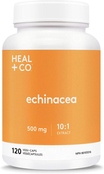 HEAL + CO. Echinacea | High Potency 10:1 Extract, 5000 mg per serving | Immune Support | 120 x 500 mg Capsules