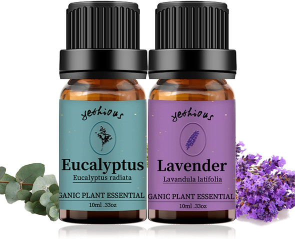 Lavender + Eucalyptus Essential Oil Aromatherapy Oil, 100% Pure Essential Oils for Diffuser, Humidifier, Massage 10ML*Top 2 Set