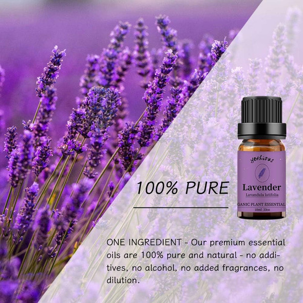 Lavender + Eucalyptus Essential Oil Aromatherapy Oil, 100% Pure Essential Oils for Diffuser, Humidifier, Massage 10ML*Top 2 Set