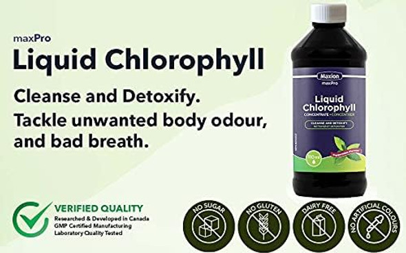 Maxion Liquid Chlorophyll Concentrate to Cleanse and Detoxify your Body, Natural Body Deodorant, Peppermint Flavor, 110ml