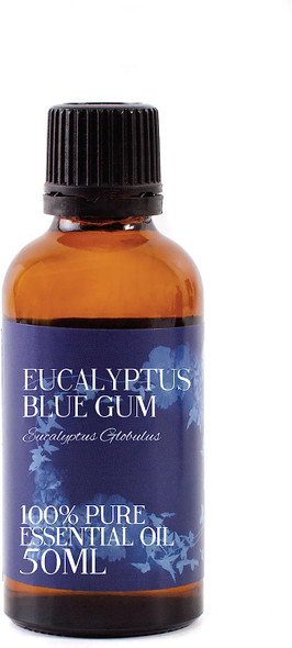 Mystic Moments | Eucalyptus Blue Gum Essential Oil - 50ml - 100% Pure