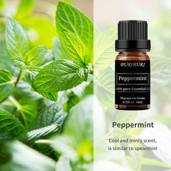 Peppermint Eucalyptus Essential Oil, 2Pcs 100% Pure, Undiluted, Natural, Organic Aromatherapy Essential Oils Gift Set